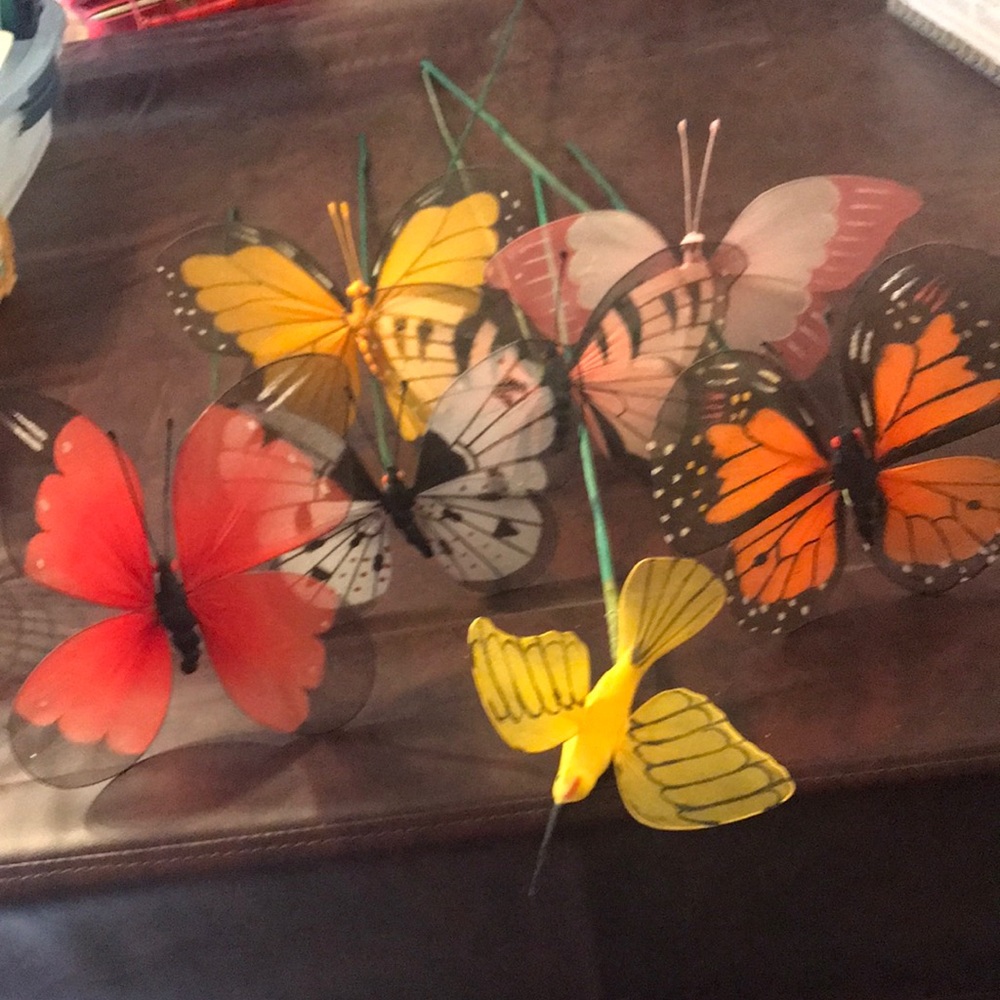 Butterflies on sticks